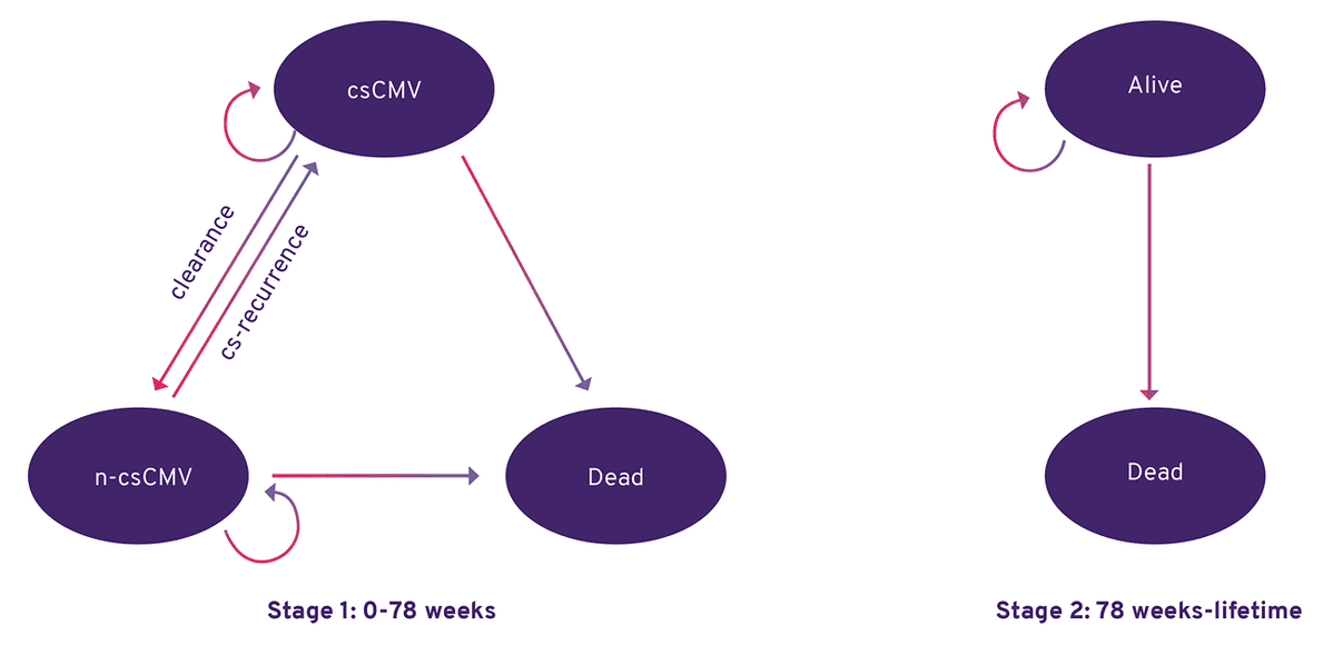 Diagram showing two-stage Markov model with csCMV, non-csCMV, and dead health states